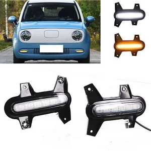 1Pair 2 Colors Front LED Daytime Running Lights For 2018 2019 2020-2022 ORA R1 - Picture 1 of 9