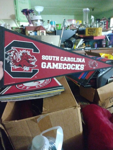 South Carolina Gamecocks 12 X 30 Wincraft Felt Pennant Cover