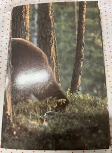 Finland - 1989  - Booklet -  Animals - MNH**  - CB8 - Please, See 4 Scans! - Picture 1 of 4