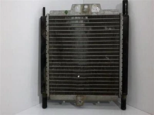 radiador de agua para PEUGEOT SATELIS 250 RS 4V 2010 3857 - Imagen 1 de 4