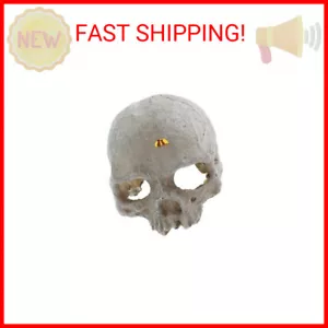 emours Reptile Hideout Skull Vivarium Aquarium Fish Tank Resin Ornament Cave Dec - Picture 1 of 2