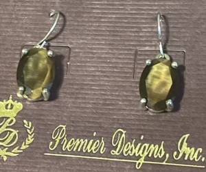 Premier Designs Retired Solano 2007 Silver tone Dangle Earrings NEW - Picture 1 of 5