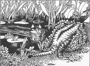 B Kliban Katzendruck Original Vintage Buch Teller Top Qualität Kunst für Sie genießen - Bild 1 von 1