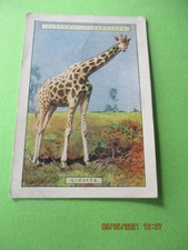 John Player, Natural History, 2nd Series Single card 7 Giraffe