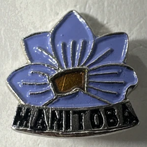 Prendedor sombrero solapa esmalte Prairie Crocus Provincial Flor Anémona Manitoba Canadá MB - Imagen 1 de 12