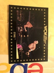 Sting WCW Wrestling Trading Card 1991 Raw Wrestler AEW WWE HOF #55 MINT CARD - Bild 1 von 2