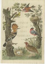Antique Frontispiece of volume 3 of 'Nederlandsche Vogelen' by Sepp &amp; Nozema