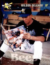 1995 Burlington Bees Team Issue #1 Wilson Delgado Dominican Republic DR Card