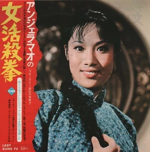 Póster volador de película japonesa Hapkido 1972 B Lady Kung Fu Angela Mao Chirashi B5 B5 - Imagen 1 de 1