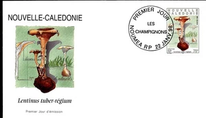 FLORA MUSHROOMS 1998 NEW CALEDONIA 3 FDC - Picture 1 of 3
