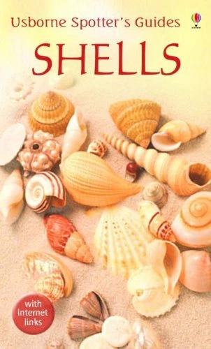 Shells (Usborne Spotter's Guide) By Graham Saunders - Image 1 of 1