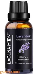 Lavender Essential Oil 30ml Premium 100% Pure Diffuser Burner in Glass Bottle - Picture 1 of 8
