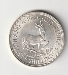 Uncirculated Sth Africa King George 6th 5 shillings coin. 1950 - Foto 1 di 2