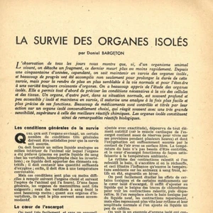 Das Überleben der isolierten Organe - - Presseartikel 1945 - Bild 1 von 4