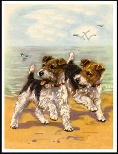WIRE FOX TERRIER TWO DOGS LOVELY VINTAGE STYLE DOG ART PRINT POSTER - Picture 1 of 1