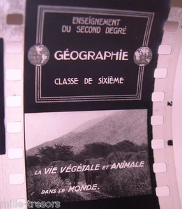 FILM Standbilder DOKUMENTARFILM Schule: GEOGRAPHIE - PFLANZEN- UND TIERLEBEN - Bild 1 von 1
