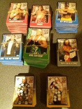 WWE Payback Trading Cards - Pick From List