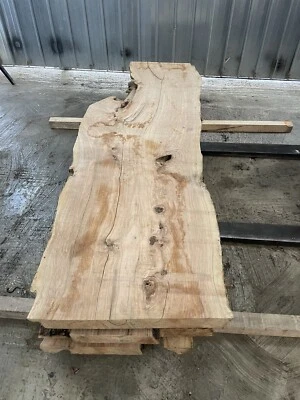 Segato Tavolette In Ulivo Massello - Immagine 1 di 4