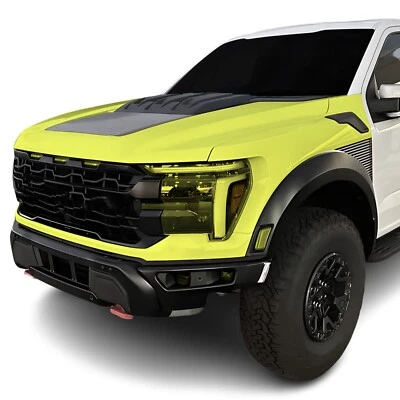 Kit de sujetador transparente de película de protección de pintura precortada PPF para Ford F150 2024+ Foto 1 de 4