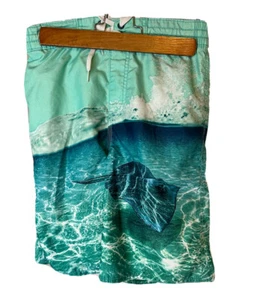 XL Boys Swim Trunks Shorts Summer Beachwear Kids Beach Turquoise Sting Ray Water - Picture 1 of 7