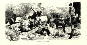 1875 LAZIO = ROCCA DI PAPA = Stampa Antica = Old Print - Picture 1 of 1