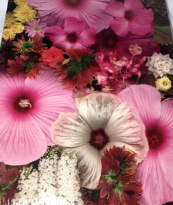 VTG 2007 SPRINGBOK Jigsaw Puzzle BLOSSOM BOUQUET 500 Flowers Garden Floral NEW - Foto 1 di 8