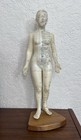 Acupuncture Model 18 Inches Human Acupoint Silicone Doll