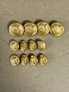 Waterbury true vintage gold horse hunting horn blazer replacement button set 12 - Picture 1 of 3