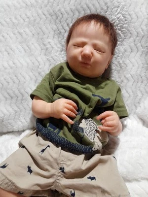 Muñeca bebé nacido/renacido Logan #97 Bountiful Baby's Realborn Foto 1 de 4