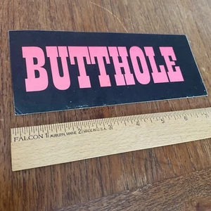 BUTTHOLE SURFERS ELECTRICLARRYLAND Record Store 1996 Capitol Records LP/CD - Picture 1 of 2