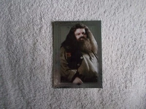 Harry Potter Magical Inspiration 2024 "RUBEUS HAGRID" #54 Trading Card SILVER - Picture 1 of 2