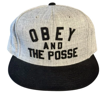 Boné de beisebol Obey And The Posse Snapback chapéu mistura de lã cinza tamanho único skatista - Imagem 1 de 4