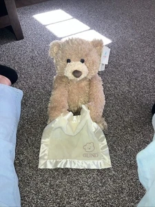 Gund Peek-A-Boo Teddybär animiert 11,5 Zoll neu mit Etikett  - Bild 1 von 7