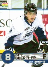 Gabe Guertler 2012-13 Fargo Force