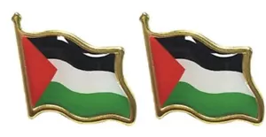 2x Flaggen Pin Fahne Palästina Anstecknadel Flagge Palestine Anstecker - Bild 1 von 2