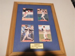 Nabisco All Star Legends 1994 Autographed Baseball Card set framed