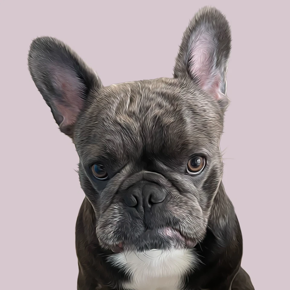 Custom Personalized Digital Pet Portrait / Dog, Cat, Animal Lover Gifts - Image 1 of 4