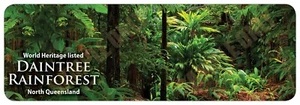 World Heritage Listed Daintree Rainforest -  Lush Rainforest - Bumper Sticker - Picture 1 of 1