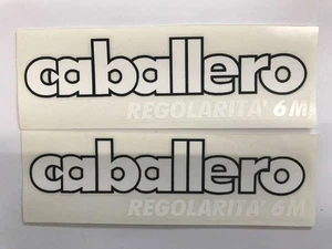 COPPIA ADESIVI LOGO FANTIC MOTOR CABALLERO REGOLARITA` 6M  AD990016 - Picture 1 of 1