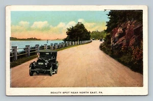 Postcard BEAUTY SPOT NEAR NORTH EAST, PA Pennsylvania  UNPOSTED - Picture 1 of 2