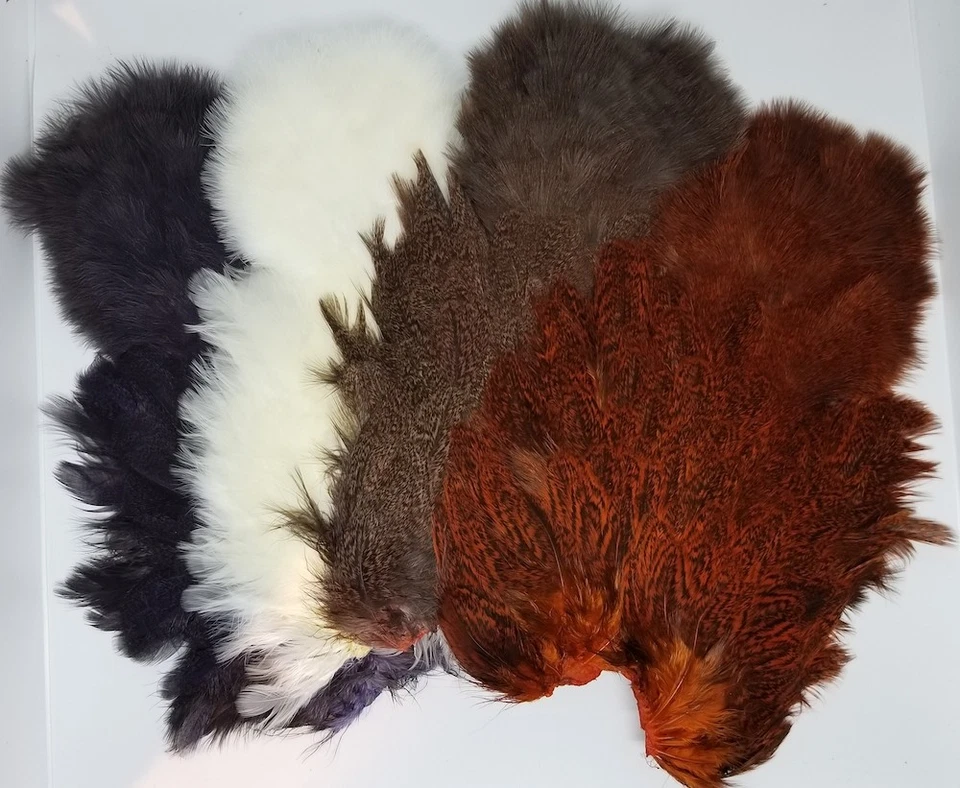 Whiting Farms Coq De Leon Hen SH con garbanzo | Camarón teñido moteado naranja Foto 1 de 1