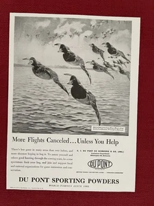 Vintage 1947 Print Ad Du Pont Gunpowders Broadbills Advertisement - Picture 1 of 3