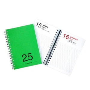 Agenda 2025 giornaliera annuale 15x21 cm A5 - diario con spirale - VERDE SCURO - Foto 1 di 1