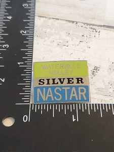 Waterville Valley Skiing Silver NASTAR lapel pin Ski Uf - Picture 1 of 3