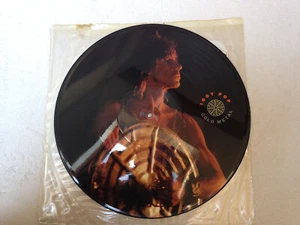 STRICTLY LIMITED EDITION IGGY POP COLD METAL 12 INCH EP PICTURE DISK - Imagen 1 de 1