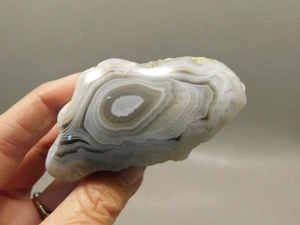 Botswana Agate Polished Stone Nodule Collector Rock Mineral #O5 - Picture 1 of 9