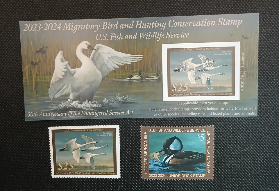  2023-2024 United States Federal Duck Stamp Set  - Image 1 of 1