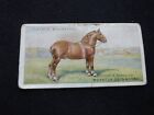 1915 Player & Sons British Live Stock Card # 15 The Shire (VG)