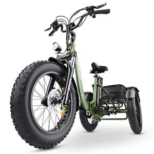 750W 20Zoll 25km/h Electric Tricycle E-Bike 3Wheels Bicycle Fat tire Cargo Trike - Bild 1 von 24