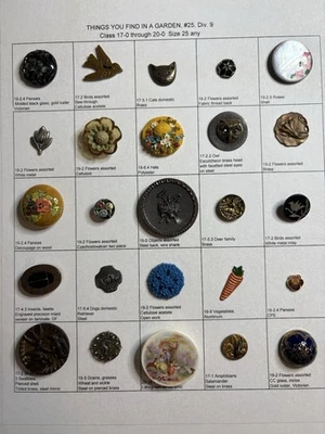 Vintage Antique Collector Card 25 Garden Themed BUTTONS Lot Insect Bird Flowers - Image 1 of 4